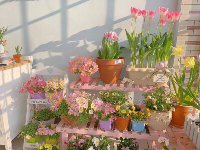 -
这世界本就混沌无序 不必时刻保持清醒 只要内心的火车不错轨 你抛出的硬币 两面都会是幸福