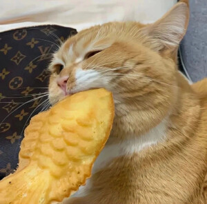 幼儿园等人来接的小朋友