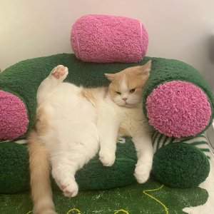 幼儿园等人来接的小朋友