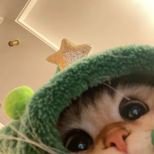 幼儿园等人来接的小朋友