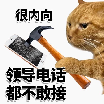 内向小猫