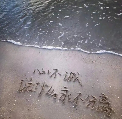 氛围感高质ins背景圖