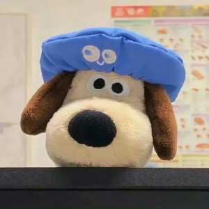 ：柚子不诱
                                           ⚪️