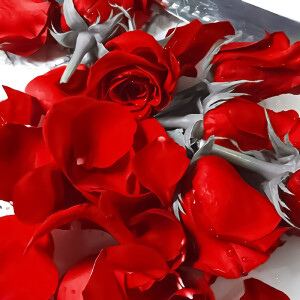 刘耀文套图
在我心里，你比玫瑰还美丽，比星空还绚烂

原截纪祇吟