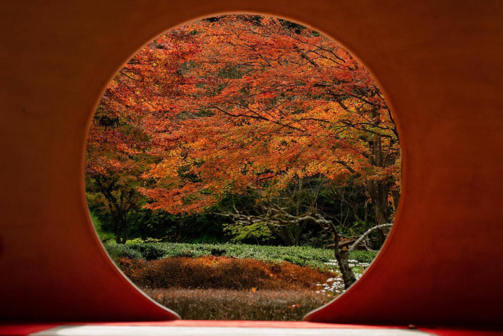 日本 神奈川県 北鎌倉 明月院 