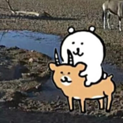 表情包
图源微博