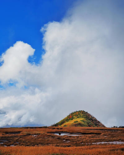 日本 新潟県 苗場山 Mount Naeba 