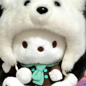 ：柚子不诱
                                           ⚪️