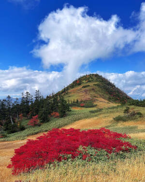 日本 新潟県 苗場山 Mount Naeba 
