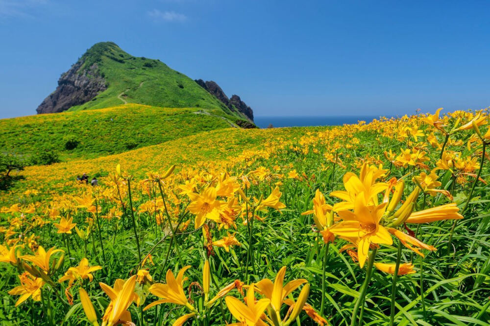 日本 新潟県 佐渡島 