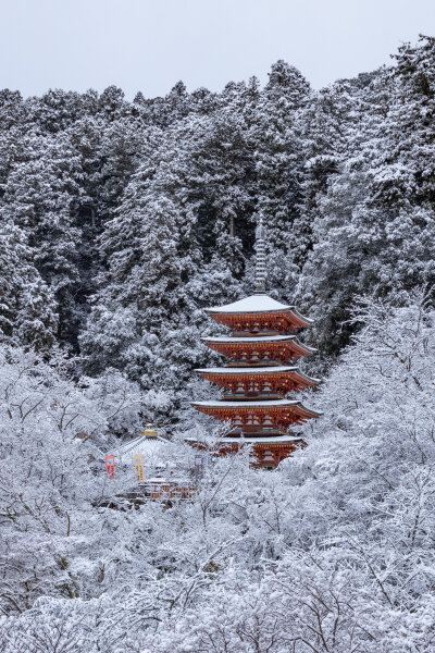 日本 奈良県 長谷寺