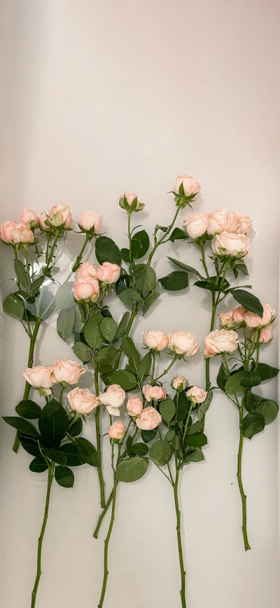 鲜花