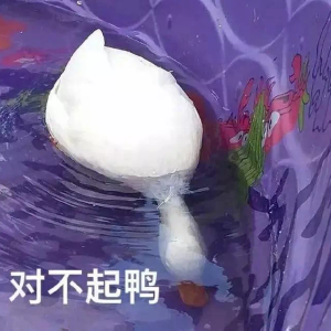 聊天必备鸭鸭表情包:对不起鸭/刚下班鸭/翻… - 高清图片,堆糖,美图