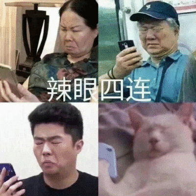 发疯表情包