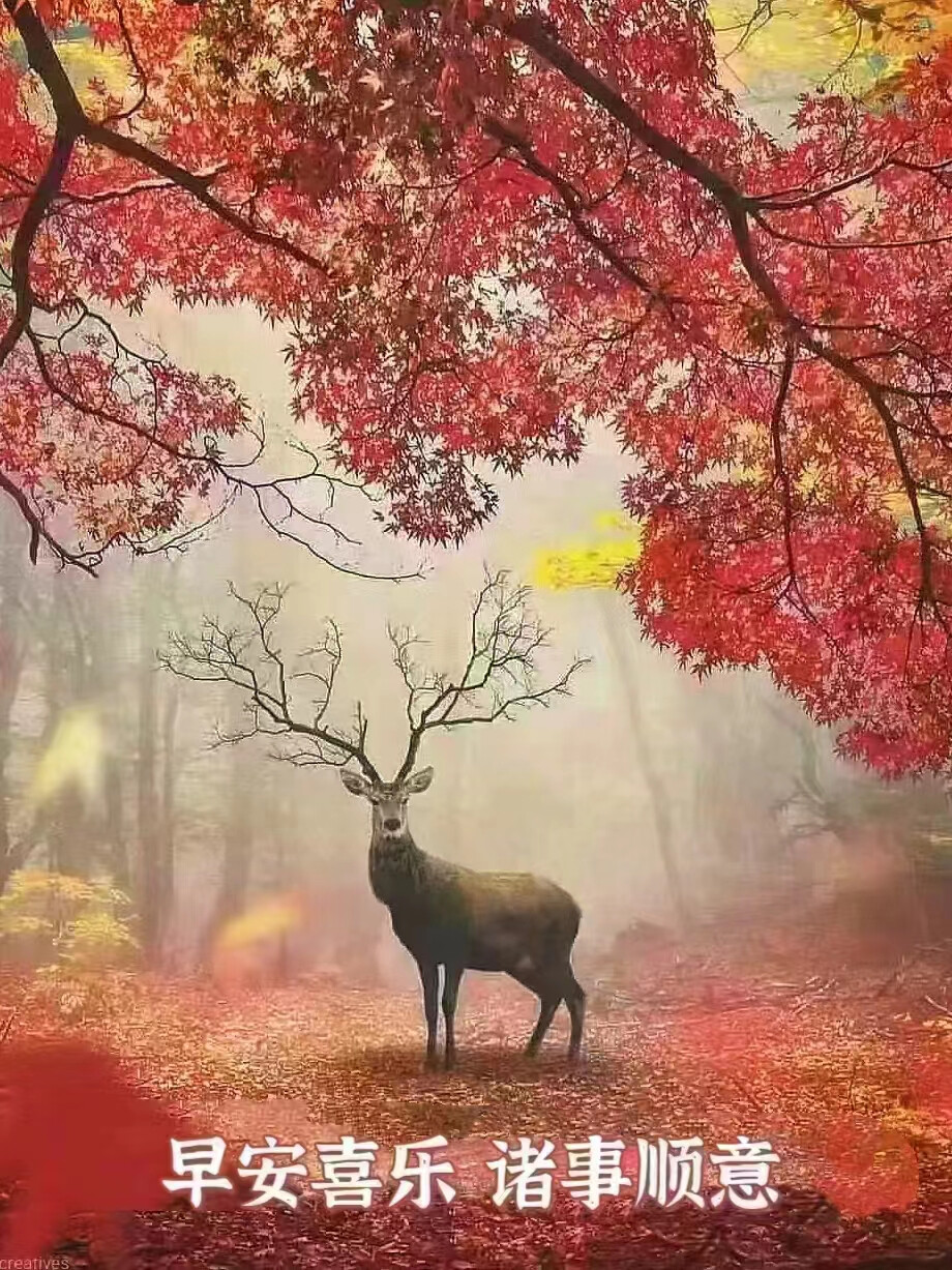 水彩