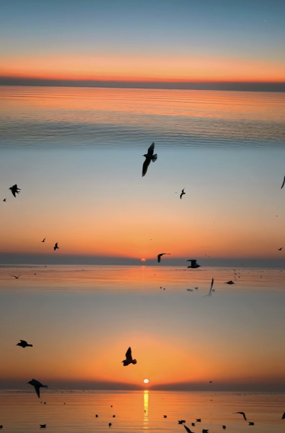 海上日出背景图