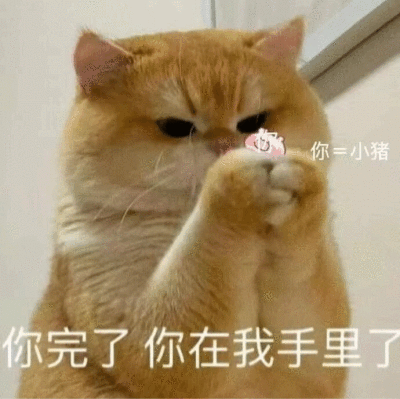 爱用猫猫表情包的有福咯来袭咯！