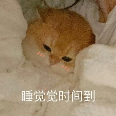 爱用猫猫表情包的有福咯来袭咯！