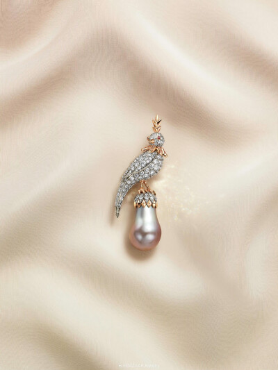 蒂芙尼 鸟形 珍珠 珠宝