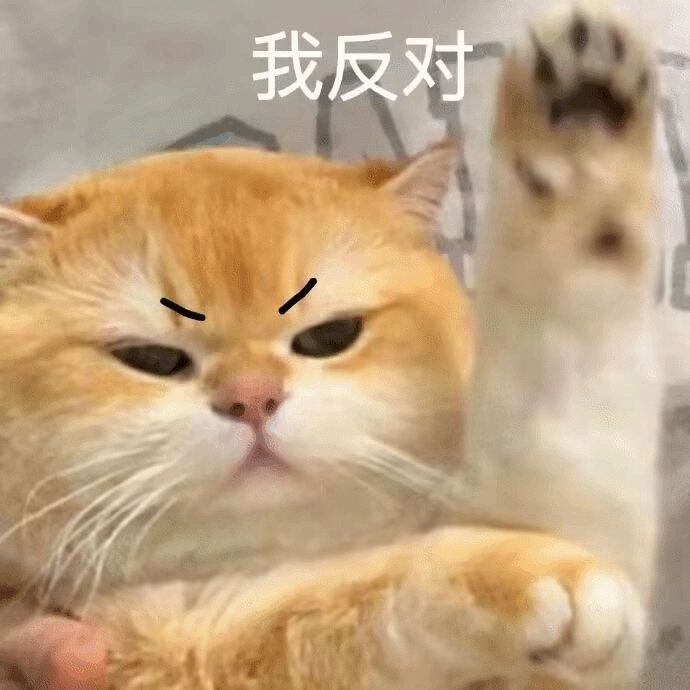 爱用猫猫表情包的有福咯来袭咯！