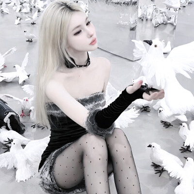 本城莲