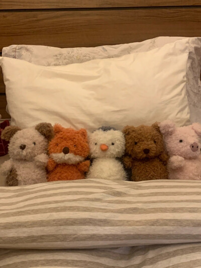 jellycat