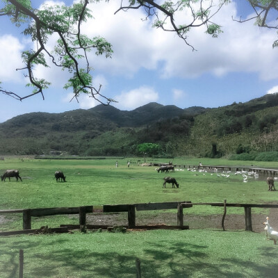  背着我踩沙滩的你 额头的汗握在手心