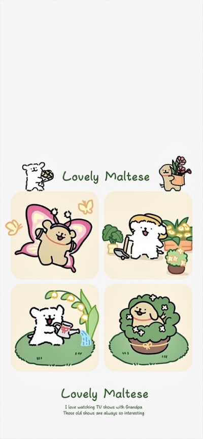 可可爱爱