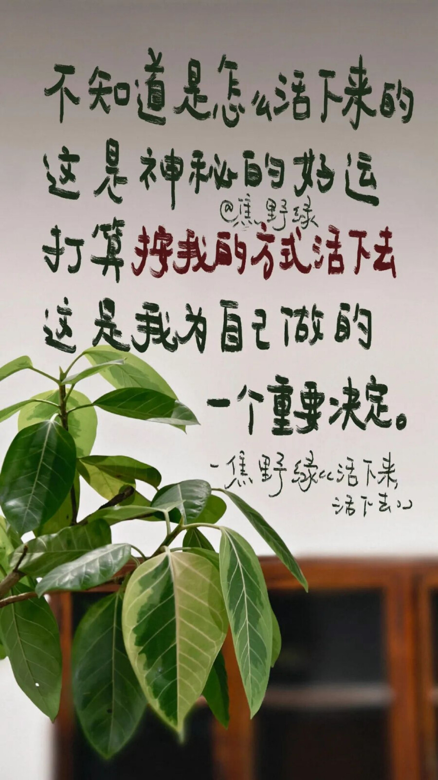 ins风文字壁纸