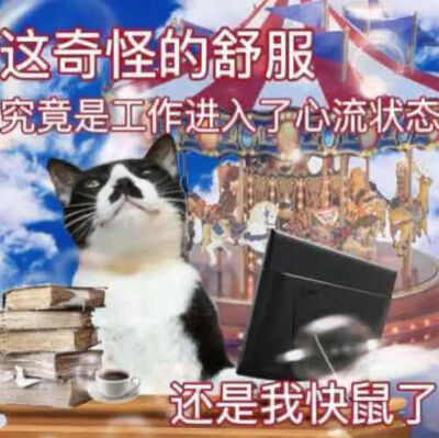 猫猫表情包