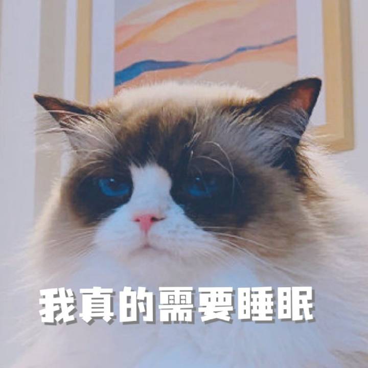 表情包