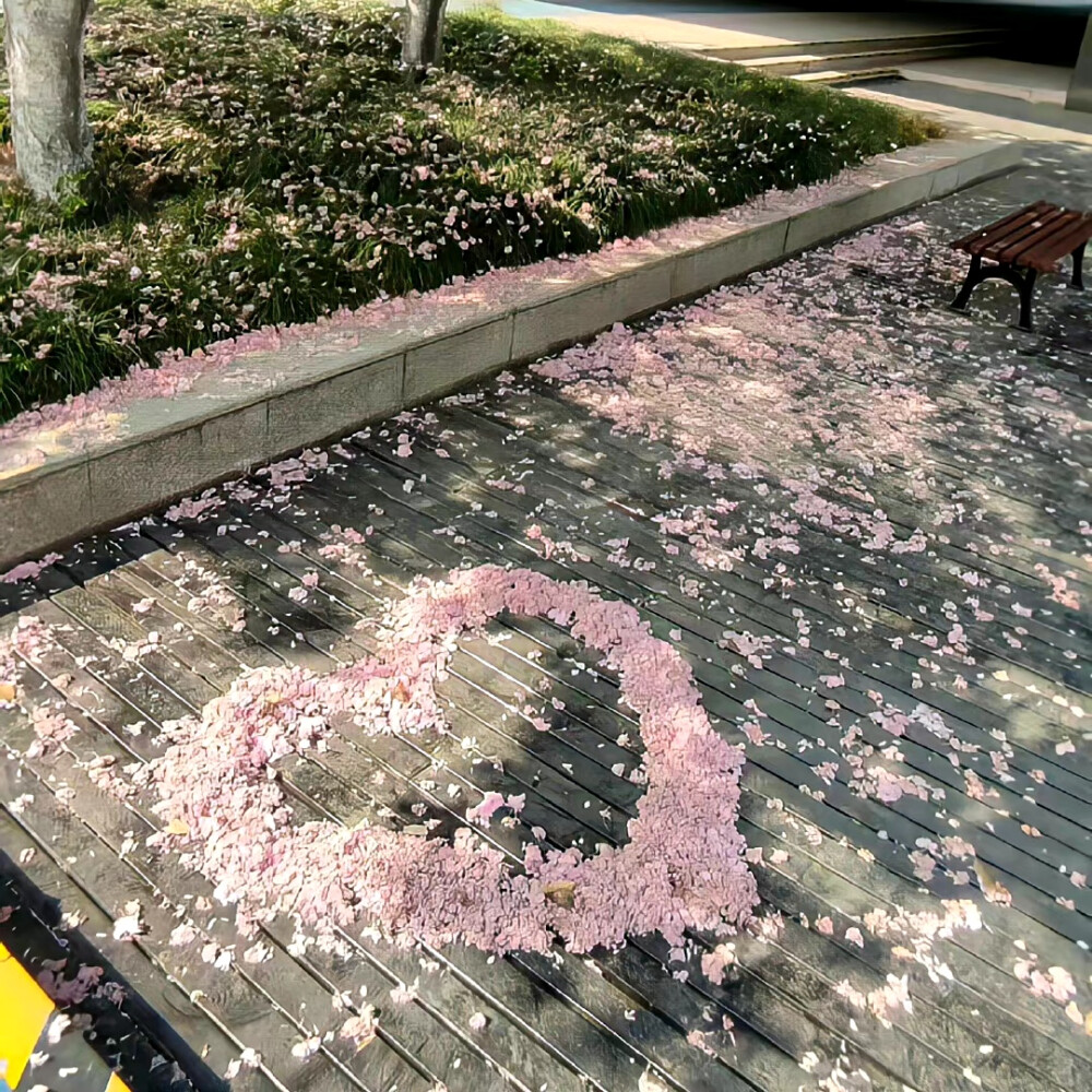 春日 氛围感 背景图