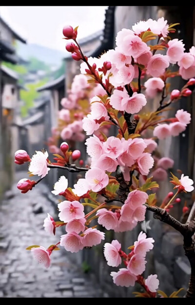 花草