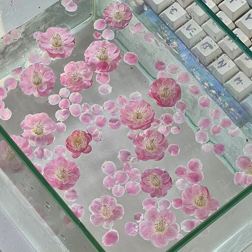 花朵背景图