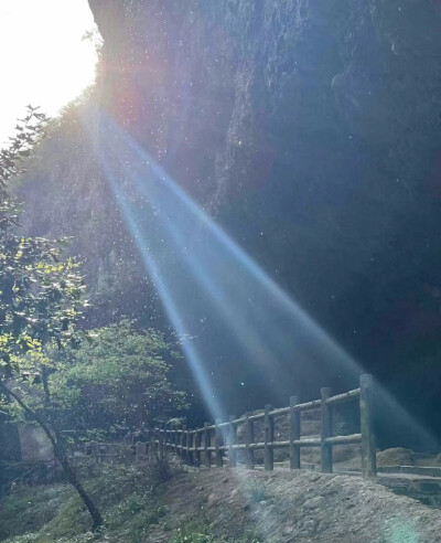 背景图