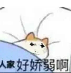 龙图表情包