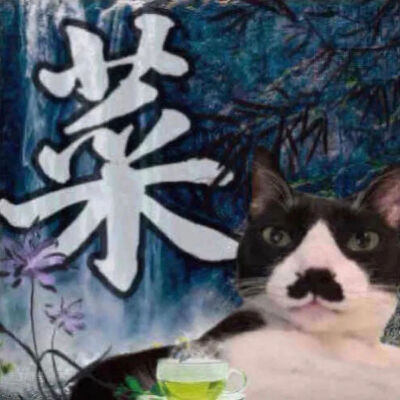 猫猫表情包