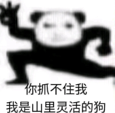 龙图表情包