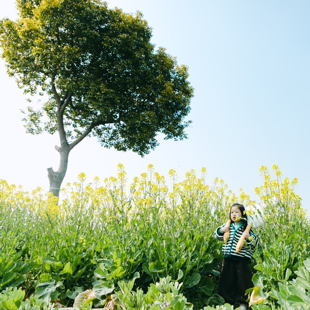 对啊，春天来了
摄影：洪小漩
出镜：菲比
当油菜花黄了，当麦田疯长，当暖风袭来，那就莫负春光。
虽然只是短短的一个小时，在菲比的万般拒绝中，我和大梦还是胡乱按下了些快门。
对我来说，感受春天和记录成长同样重要。
哪怕，只是短短的一个小时。