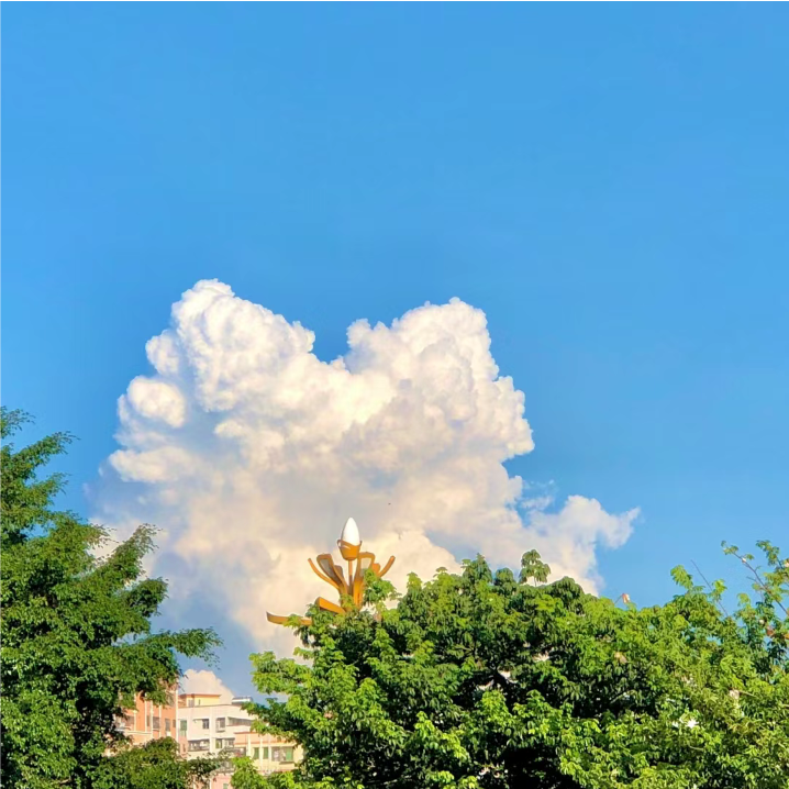 夏日感背景图