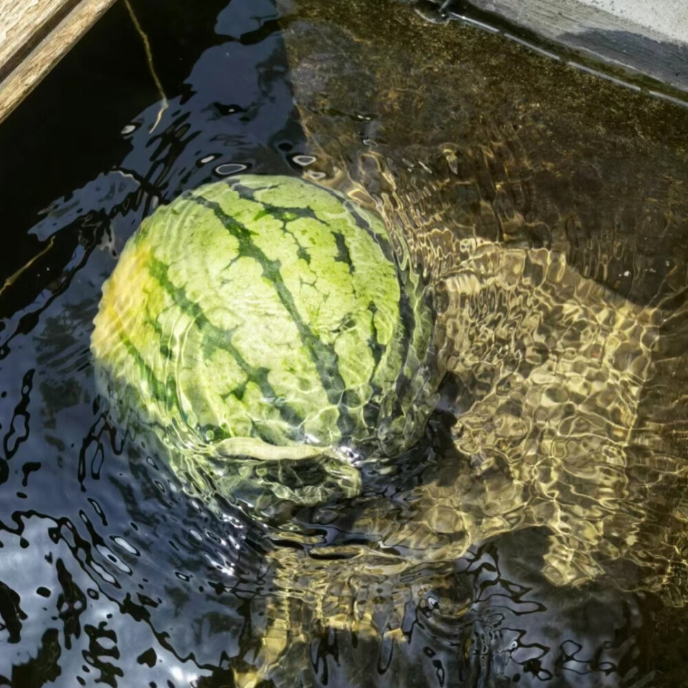 夏日感背景图