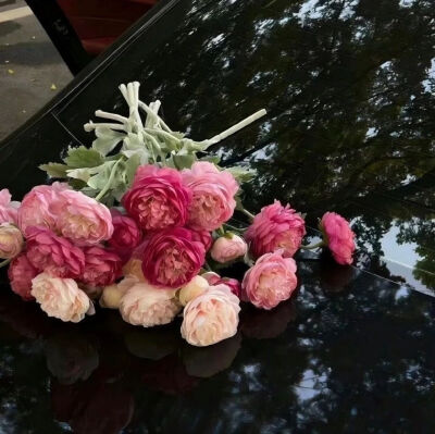 鲜花