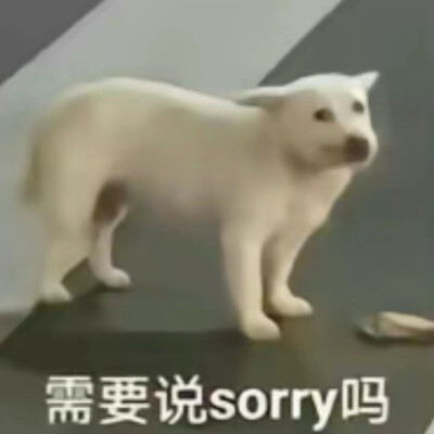 贱兮兮表情包