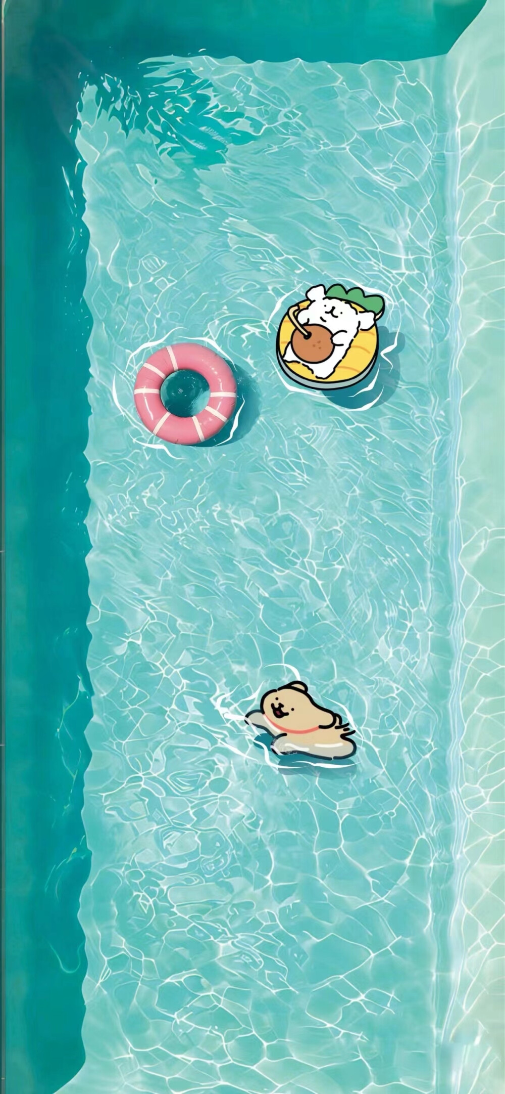 仅作收藏，侵图删！