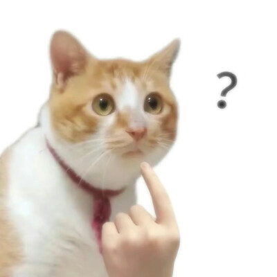 贱兮兮表情包