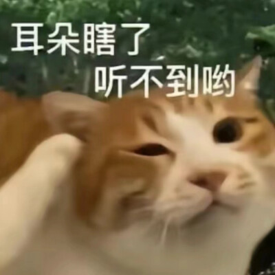 贱兮兮表情包