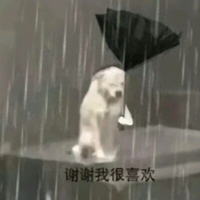 贱兮兮表情包