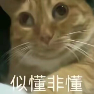 贱兮兮表情包