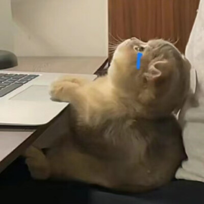 表情包
