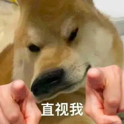 表情包